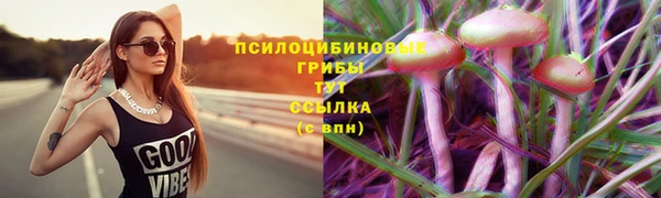 стафф Володарск