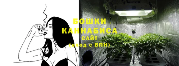 стафф Володарск