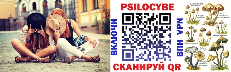 Галлюциногенные грибы мицелий  купить  сайты  Щучье 